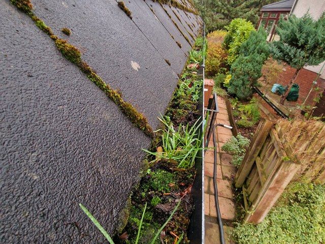Gutter Before Cleaning