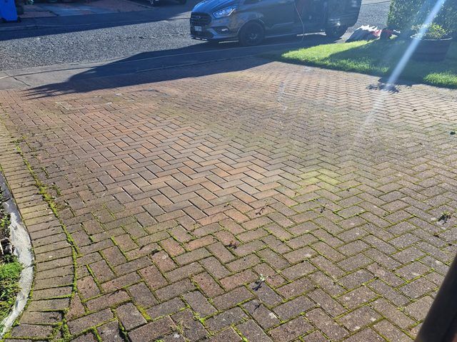 Driveway Before Cleaning