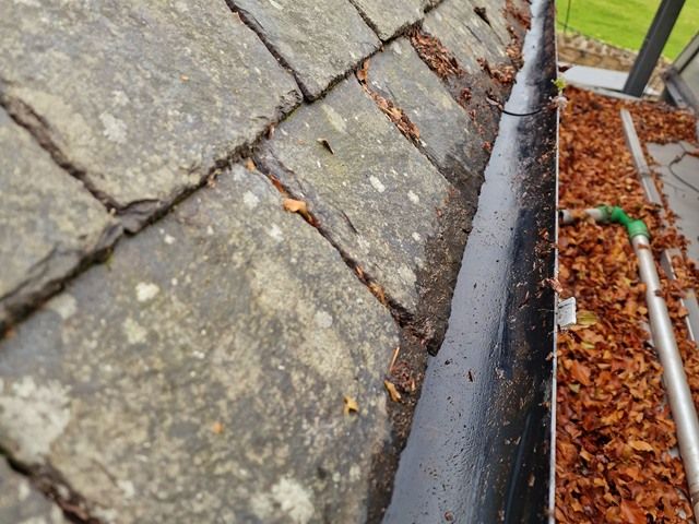 Gutter Cleaning Services in West Lothian