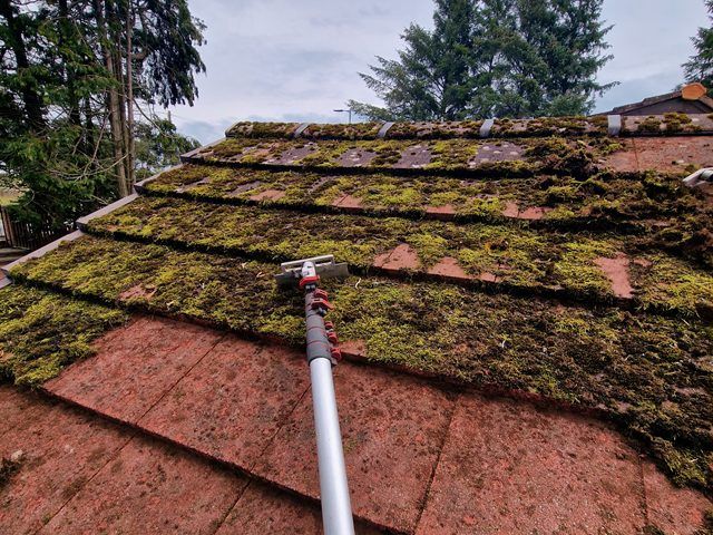 roof-cleaning-12-kireth-ai