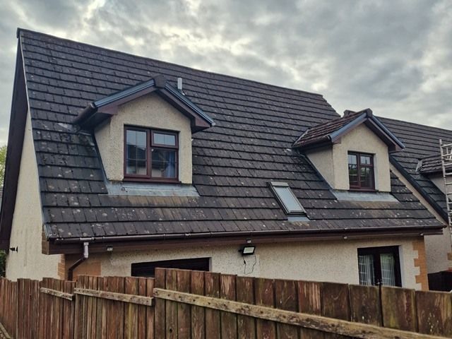 Roof before Cleaning