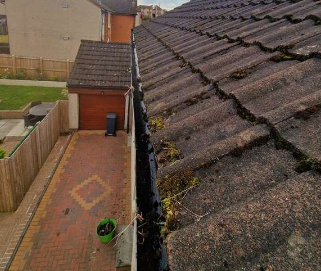 Gutter Cleaning