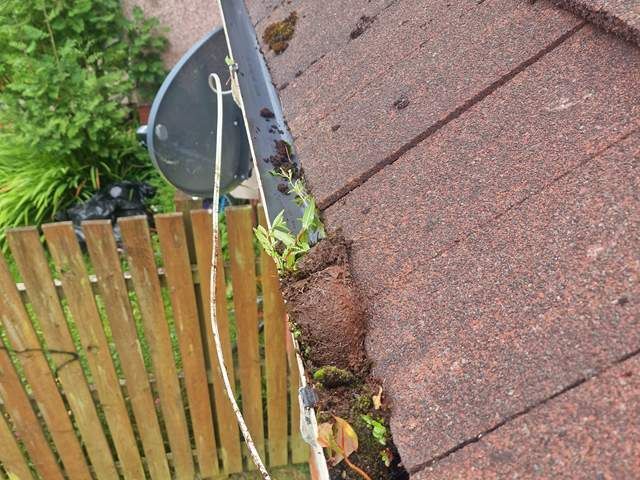 Gutter Before Cleaning