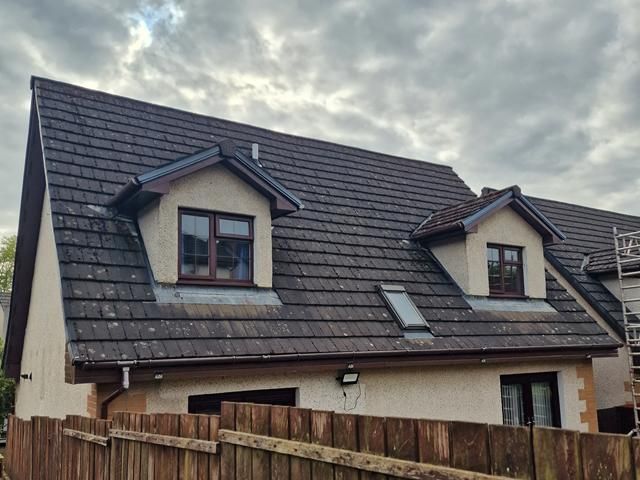 Roof before Cleaning