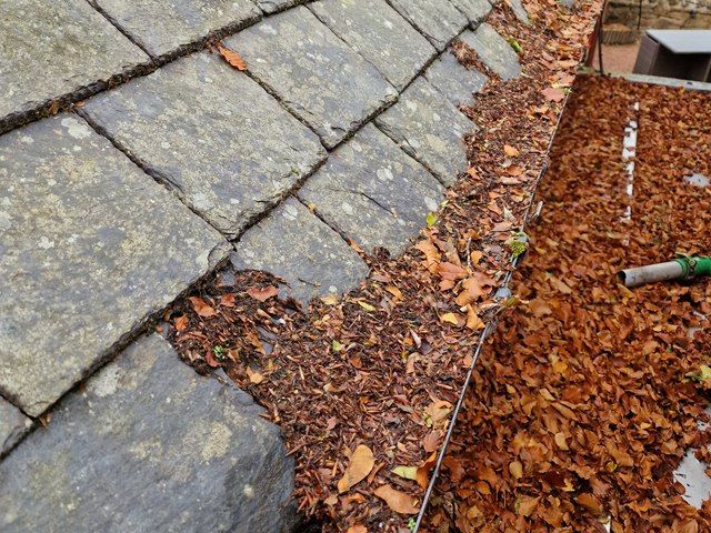 Gutter Before Cleaning